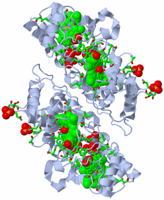 Image Biol. Unit 1 - sites