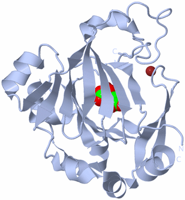 Image Biological Unit 1