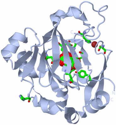 Image Biol. Unit 1 - sites