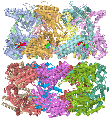 Image Asym./Biol. Unit