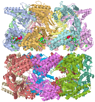 Image Asym./Biol. Unit - sites