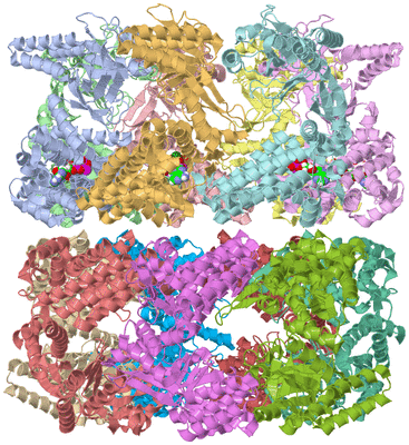 Image Asym./Biol. Unit