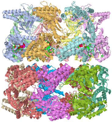 Image Asym./Biol. Unit - sites