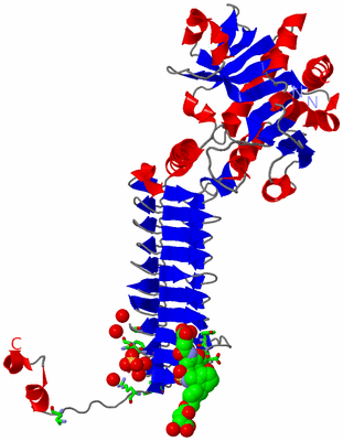 Image Asym. Unit - sites