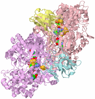 Image Biological Unit 1