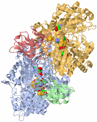 Image Biological Unit 2