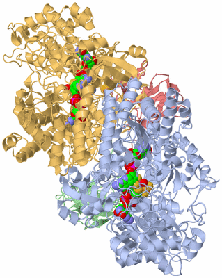 Image Biological Unit 3