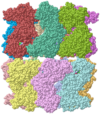 Image Asym./Biol. Unit