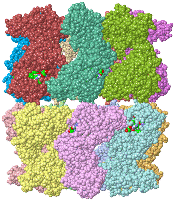 Image Asym./Biol. Unit - sites