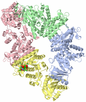 Image Biol. Unit 1 - sites