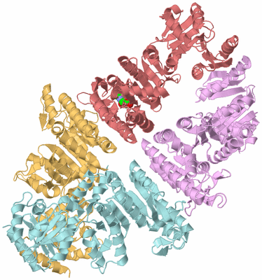 Image Biological Unit 2