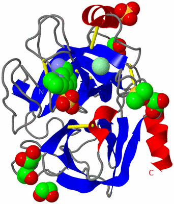 Image Asym./Biol. Unit