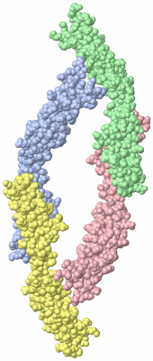 Image Asymmetric Unit