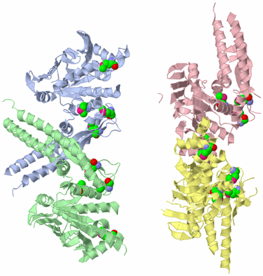 Image Asymmetric Unit