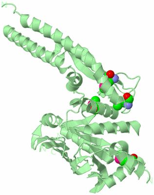 Image Biological Unit 2