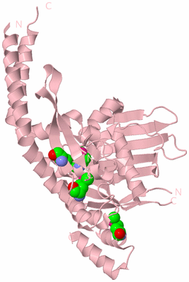 Image Biological Unit 3