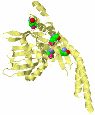 Image Biological Unit 4