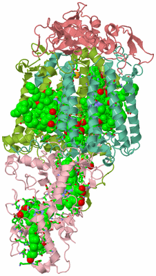 Image Asym./Biol. Unit - sites