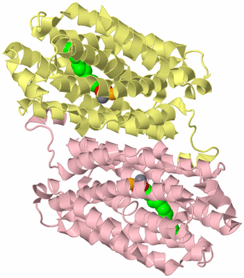 Image Biological Unit 1