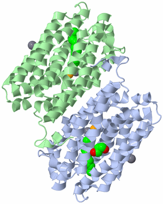 Image Biological Unit 2