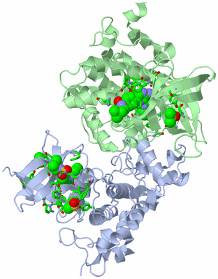 Image Asym./Biol. Unit - sites