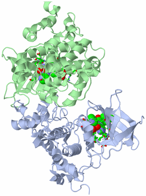 Image Asym./Biol. Unit - sites