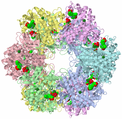 Image Biological Unit 1