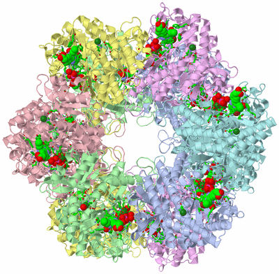 Image Biol. Unit 1 - sites