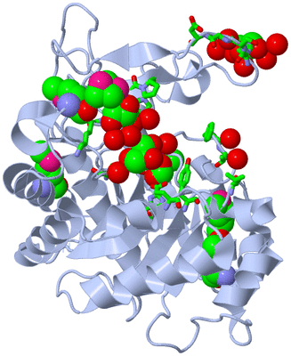 Image Biol. Unit 1 - sites