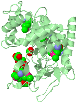 Image Biological Unit 2