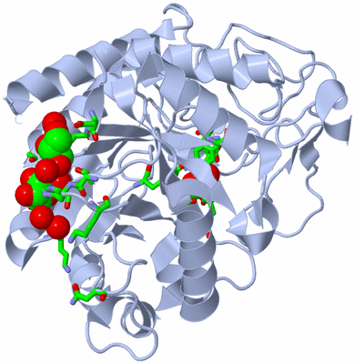 Image Biol. Unit 1 - sites