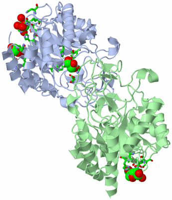 Image Asym. Unit - sites