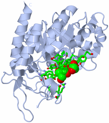 Image Biol. Unit 1 - sites