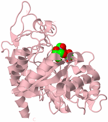 Image Biological Unit 3