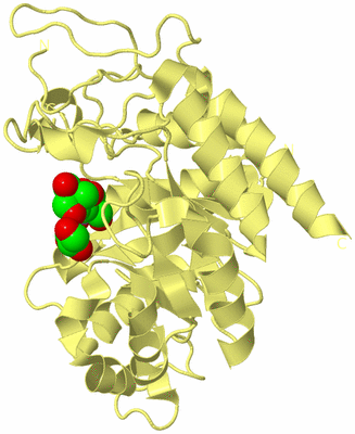 Image Biological Unit 4