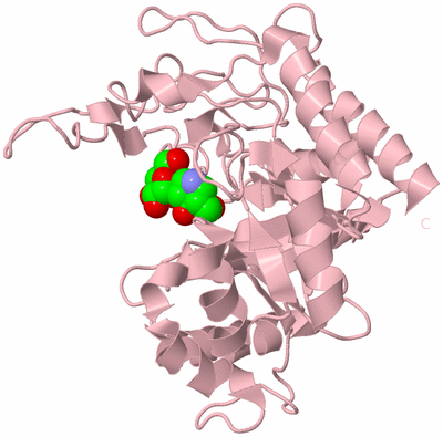 Image Biological Unit 3