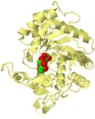 Image Biological Unit 4