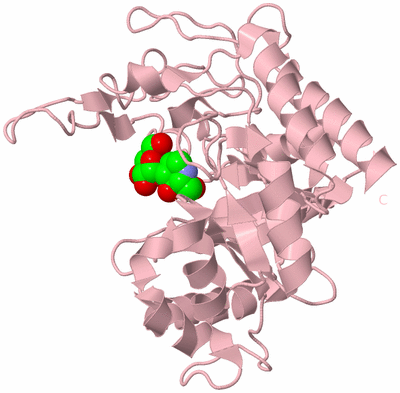 Image Biological Unit 3