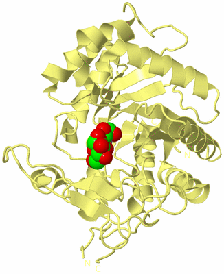 Image Biological Unit 4