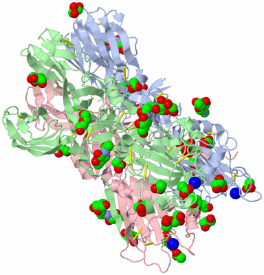 Image Biological Unit 1