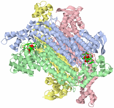 Image Asym./Biol. Unit - sites