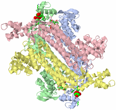 Image Asym./Biol. Unit - sites