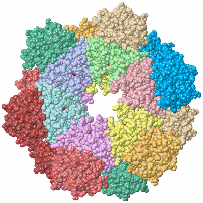 Image Biological Unit 1