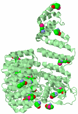 Image Biological Unit 2