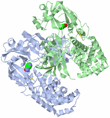 Image Asym./Biol. Unit