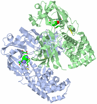 Image Asym./Biol. Unit - sites