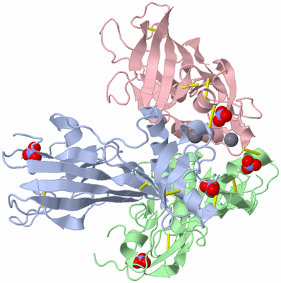 Image Asym./Biol. Unit