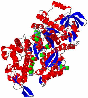 Image Asym./Biol. Unit