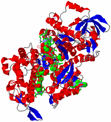 Image Asym./Biol. Unit - sites