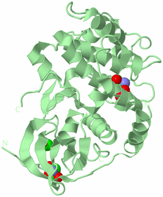 Image Biological Unit 2